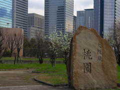 contemporary peach garden