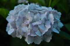 造花