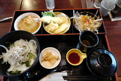 玉ねぎづくし