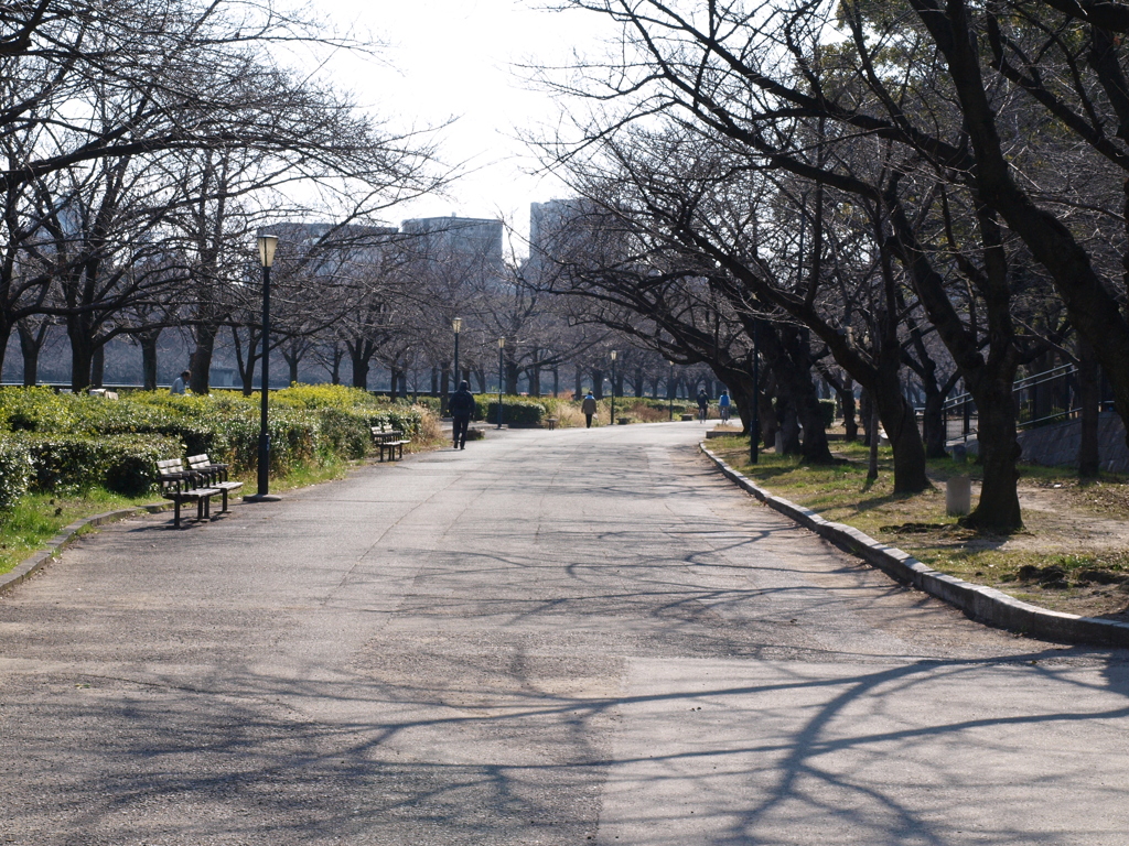 桜の宮公園