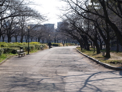 桜の宮公園