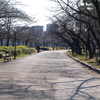 桜の宮公園