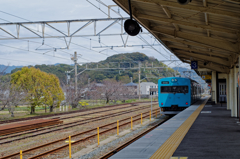 Eve of the revival - 昼寝列車