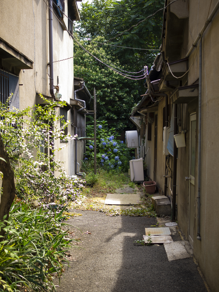 OSAKA GREEN STREETS