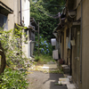 OSAKA GREEN STREETS