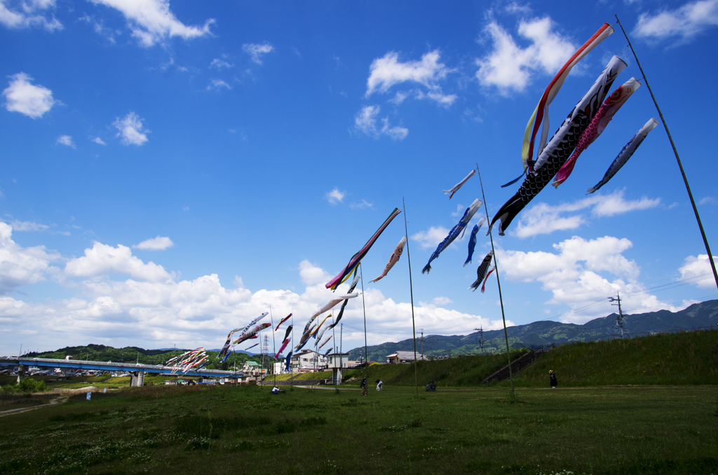 5月の風