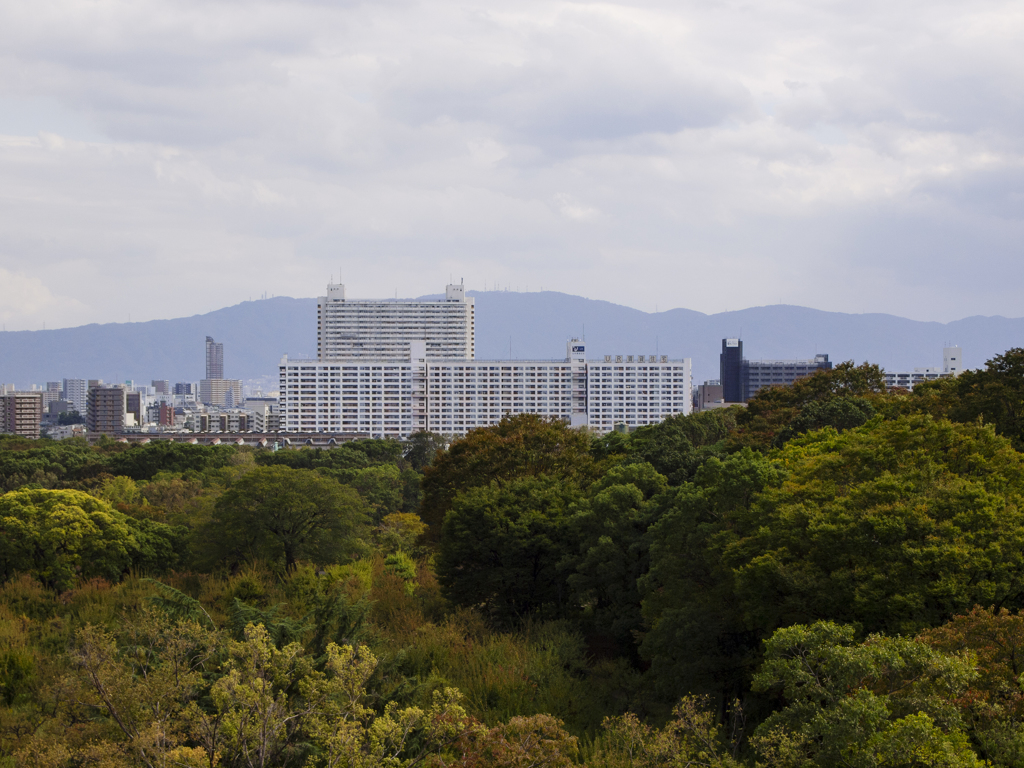 再確認　大阪城からの眺め #UR 森ノ宮団地