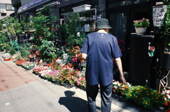 店番のいない植木屋