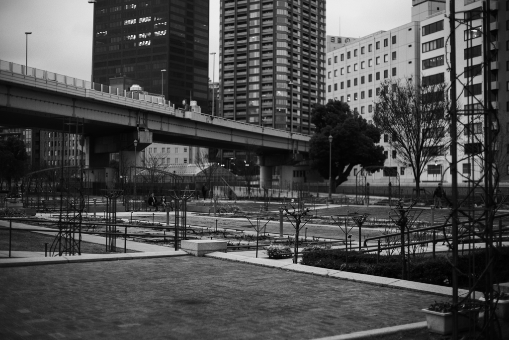 ROSE GARDEN
