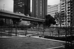 ROSE GARDEN