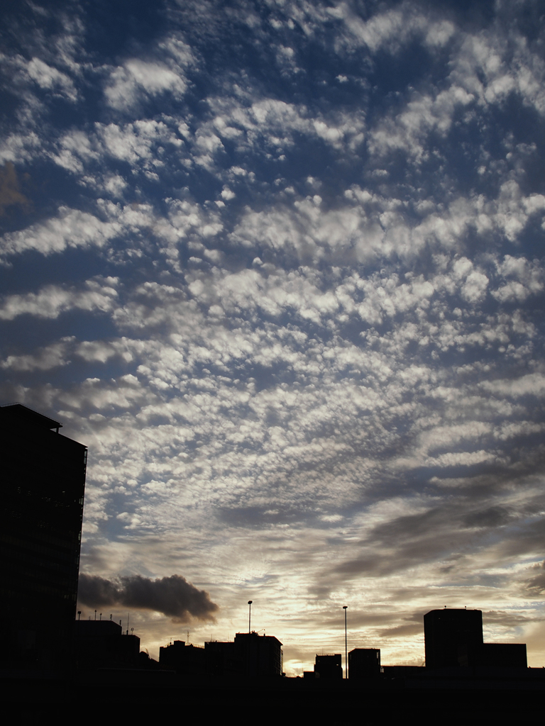いわし雲
