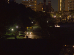 夜の森　2
