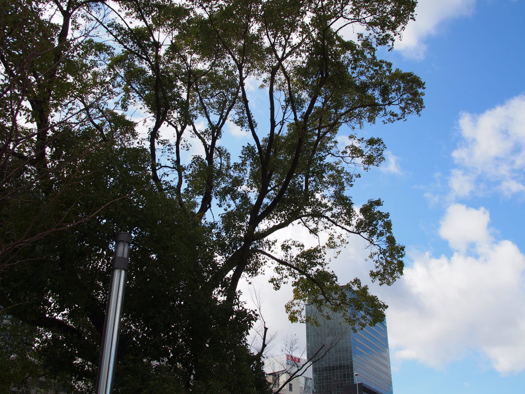 中之島公園