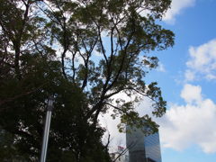 中之島公園