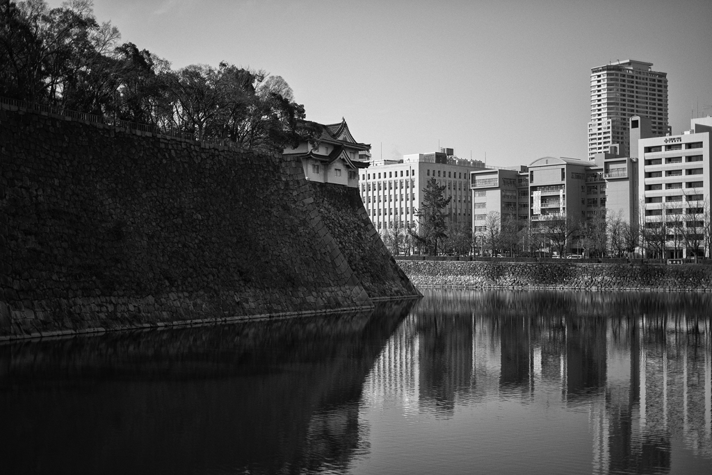 monochrome morning