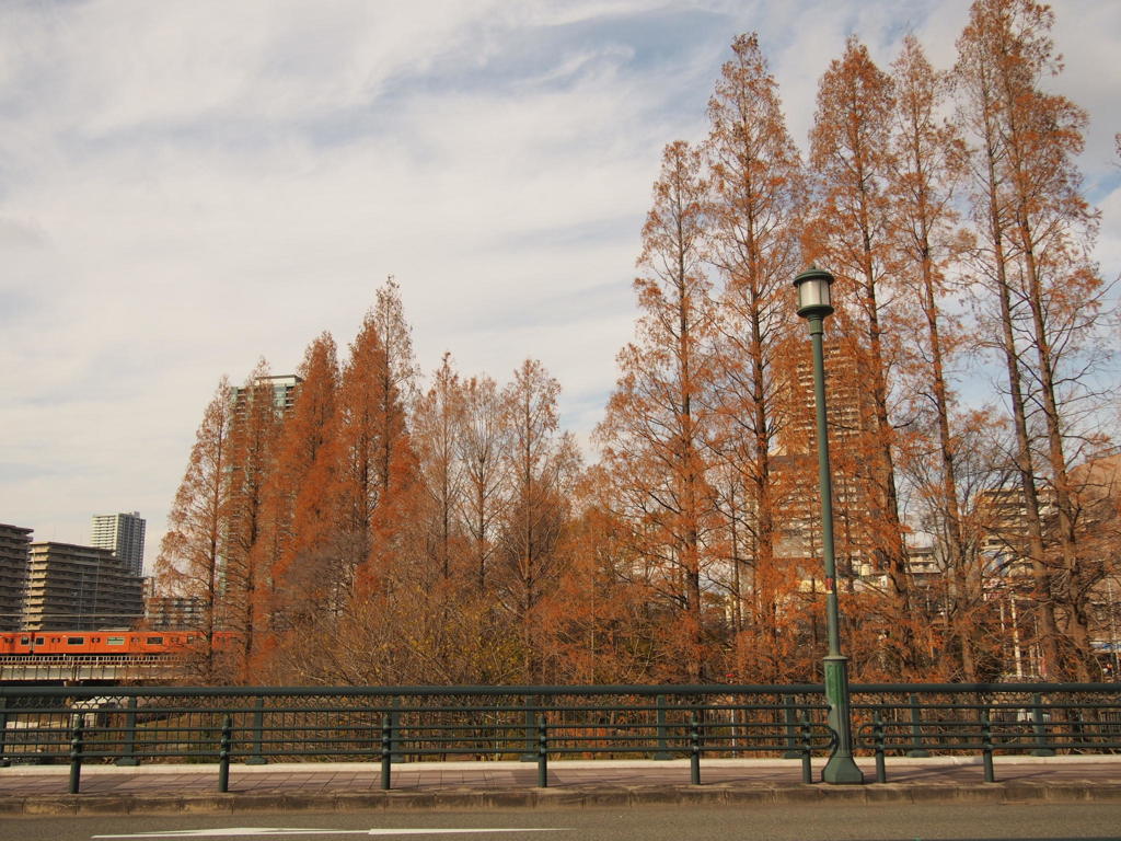 源八橋