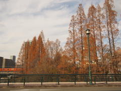 源八橋