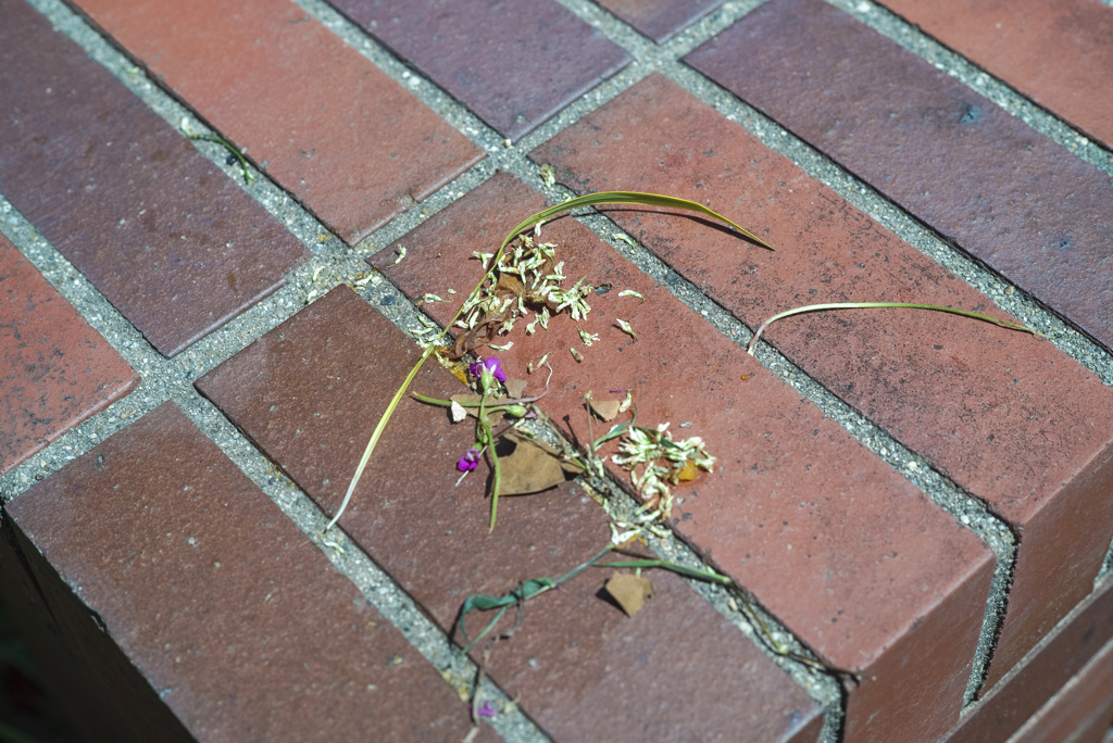 nuances of life