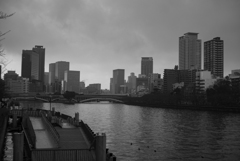 沈胴ズミクロンで撮る天満橋