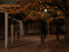 紅葉の小トンネル