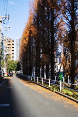 スナップとは愚か者に似つかわしい。