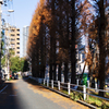 スナップとは愚か者に似つかわしい。