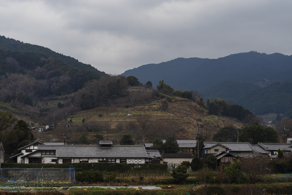 橘寺周縁