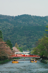琵琶湖疏水　京都すぎる感じ
