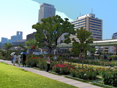 中之島公園（アートフィルター）