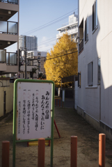 榎並川跡 児童遊園