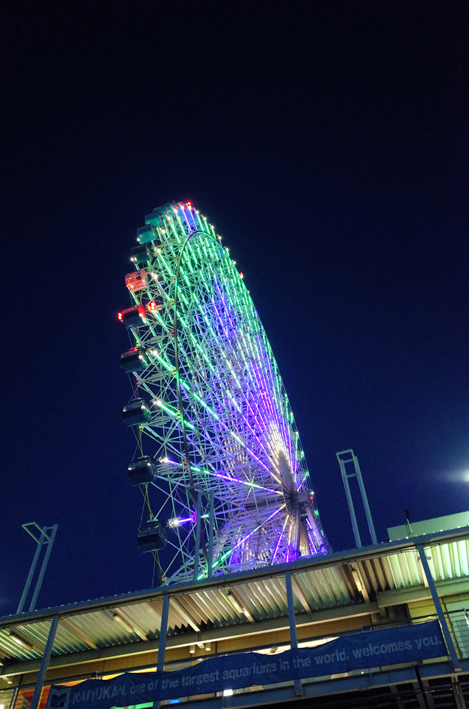 a Flower of city