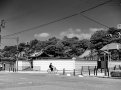 osaka monochrome downtown
