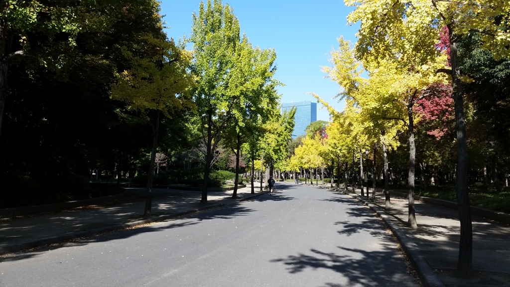 20141114_101235