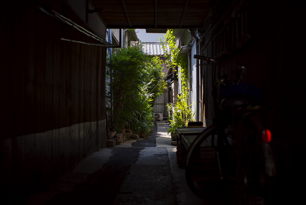 過客の眼