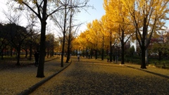 20141129_161117