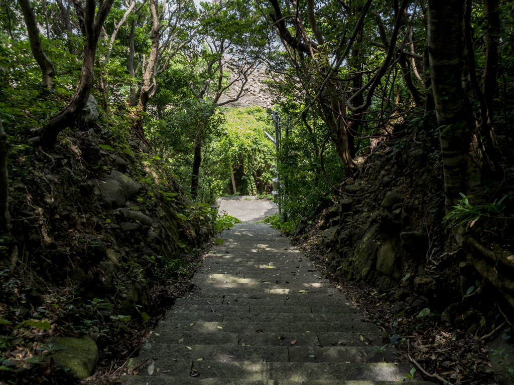 原始林の島
