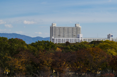 高層住宅