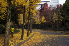 12月