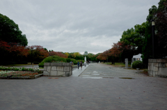 大阪城　雨上がりの朝空