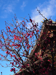 大阪天満宮