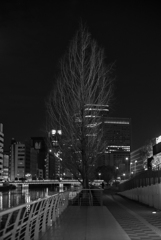 冬の底