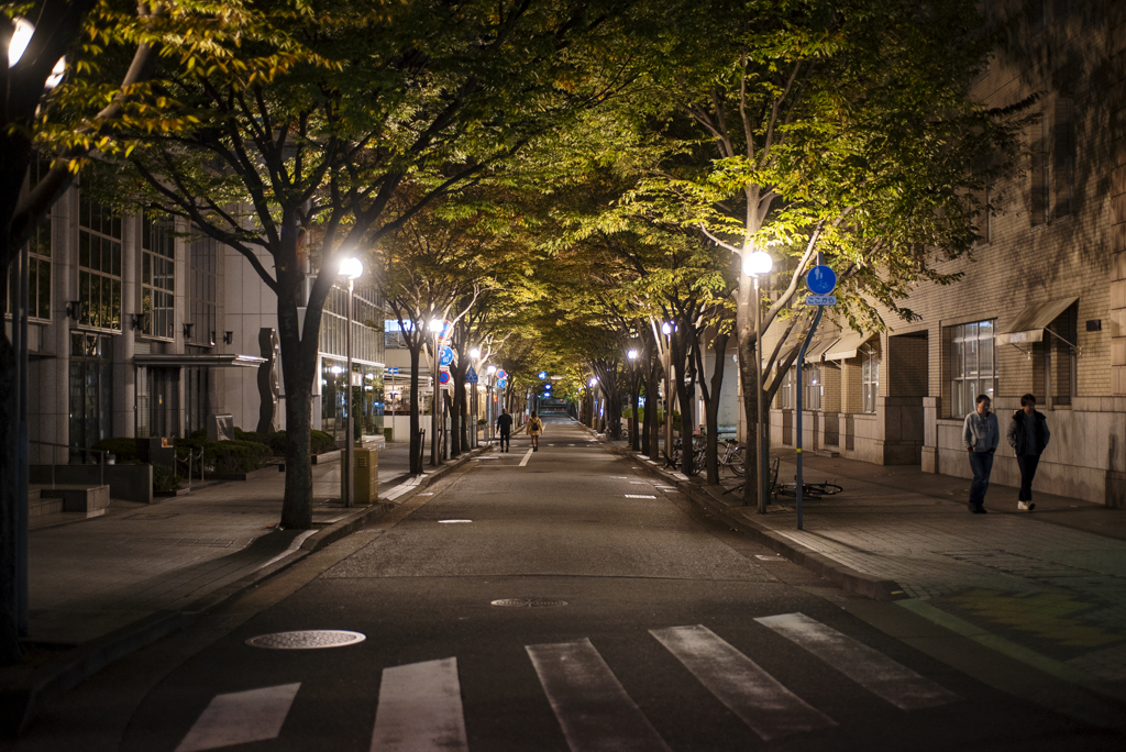 旧居留地の並木道