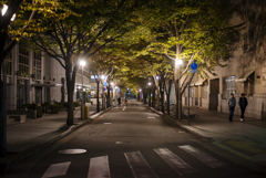 旧居留地の並木道