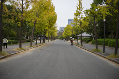 秋の朝