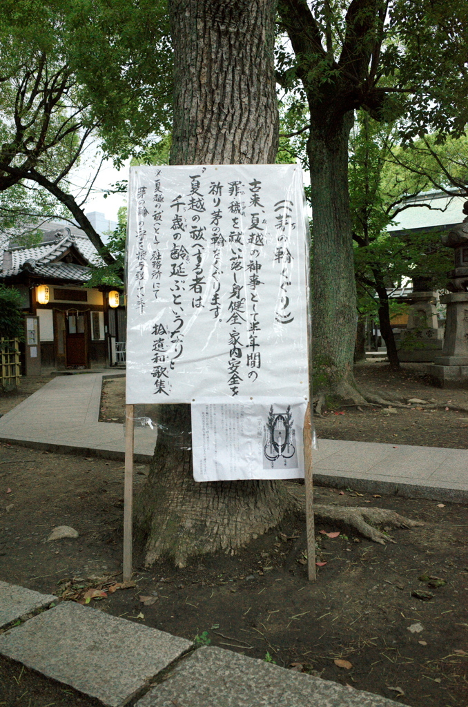 芽の輪くぐり　高津宮　説明