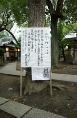 芽の輪くぐり　高津宮　説明