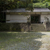 原始林の島　春日神社社務所