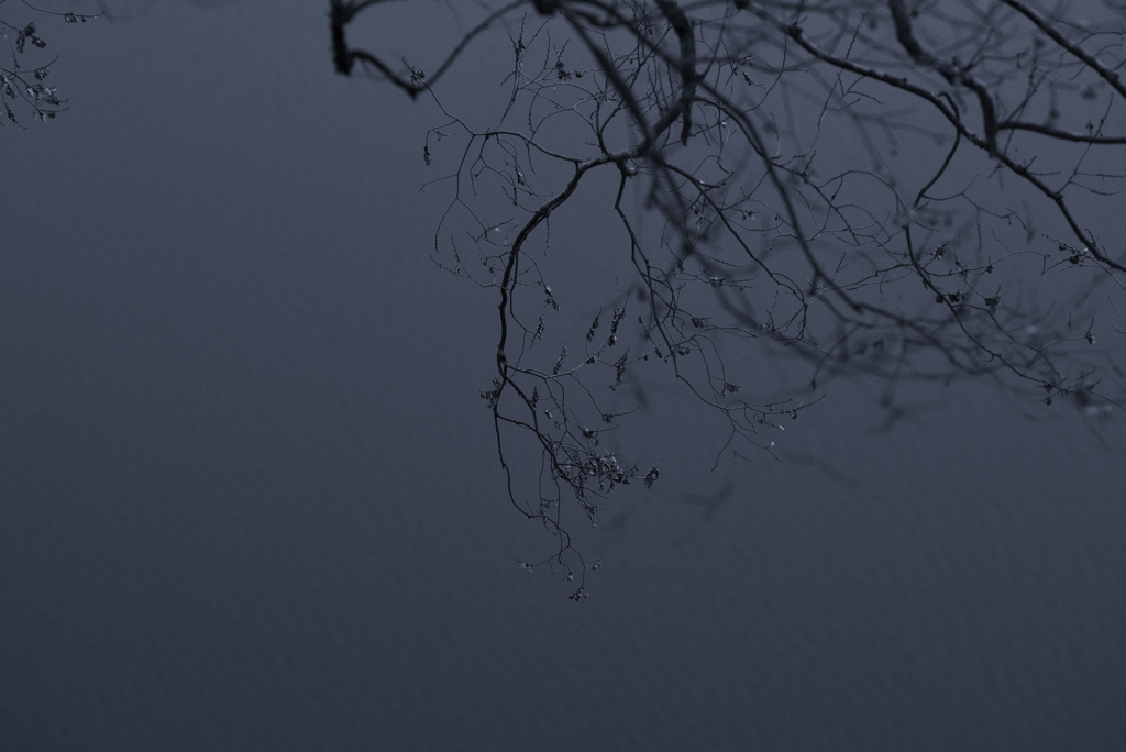 rippling