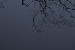 rippling