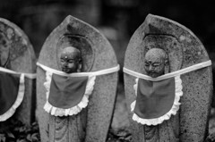 死者の杜